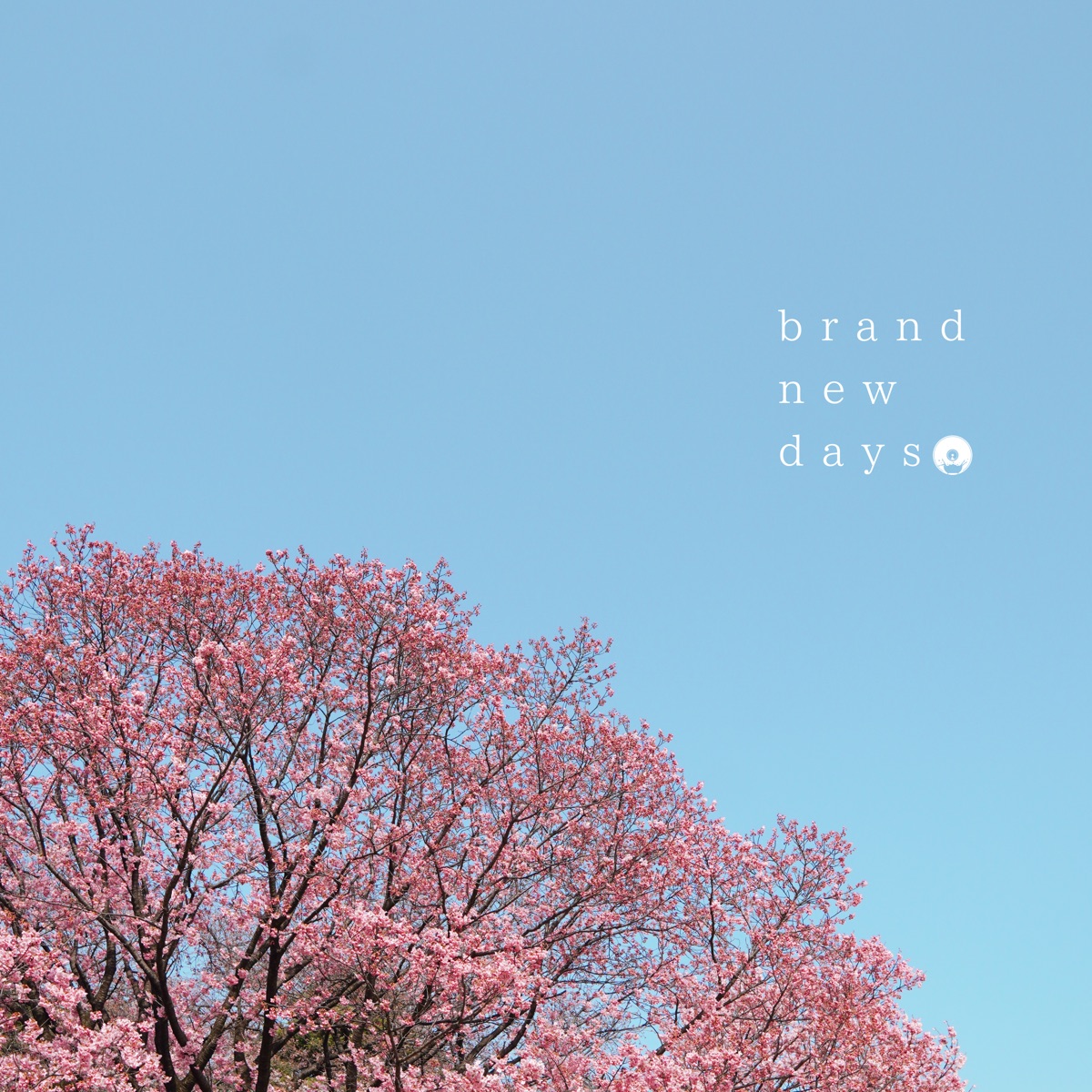 brand new days ジャケット